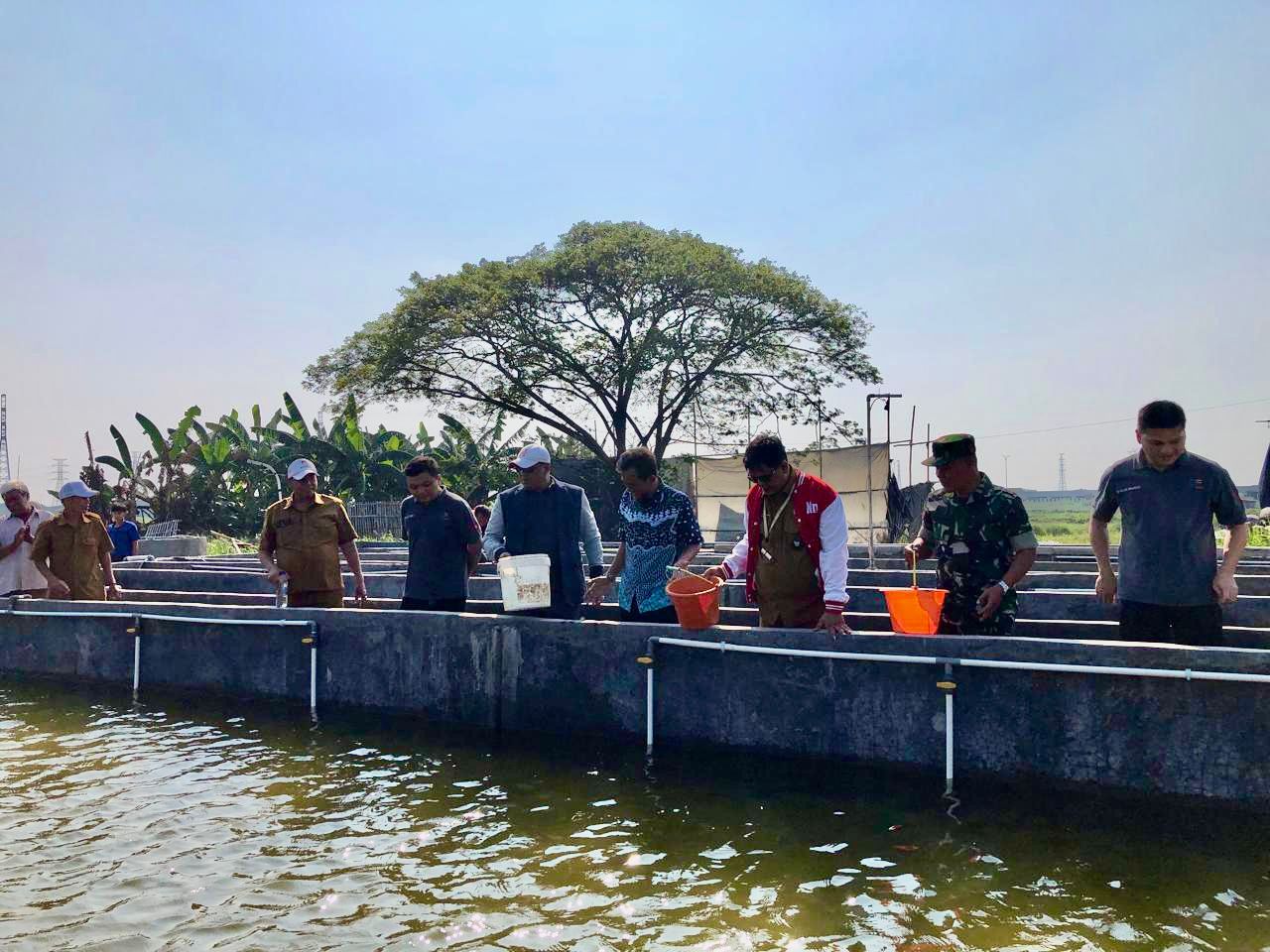 Simbolis Tebar Bibit Ikan Nila dari PT AF di Tarumajaya Bekasi